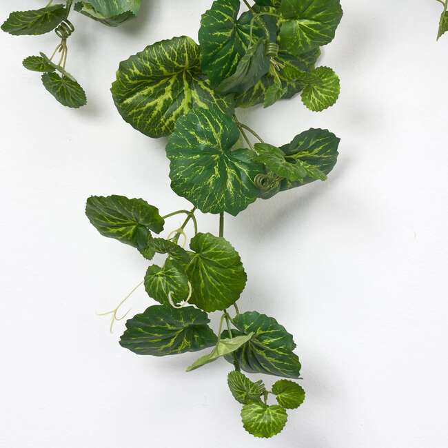 French Begonia Hanging Leaf Spray - Bouquets - 2