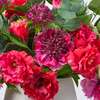 Fuchsia Scabiosa, Lisianthus & Thistle Bouquet in Horizontal Groove Cement Vase - Bouquets - 2