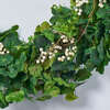 Everyday Mixed Greenery Geranium, Clover & White Berry Wreath - Wreaths - 3