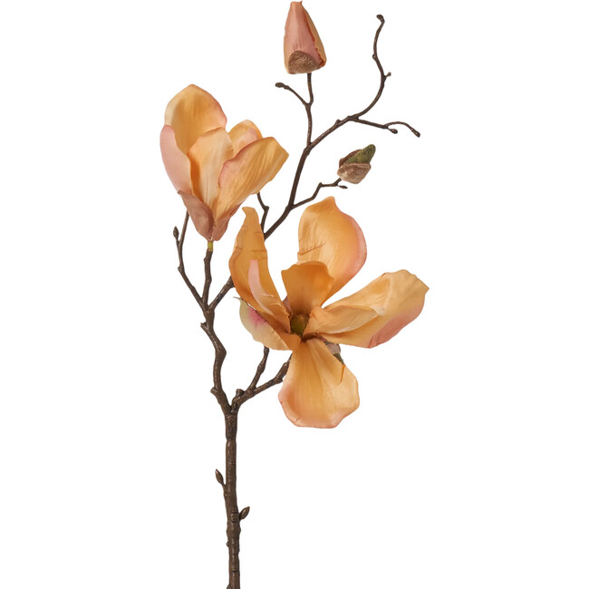 Golden Hour Magnolia Blossom & Bud Multiple Blooming Stem