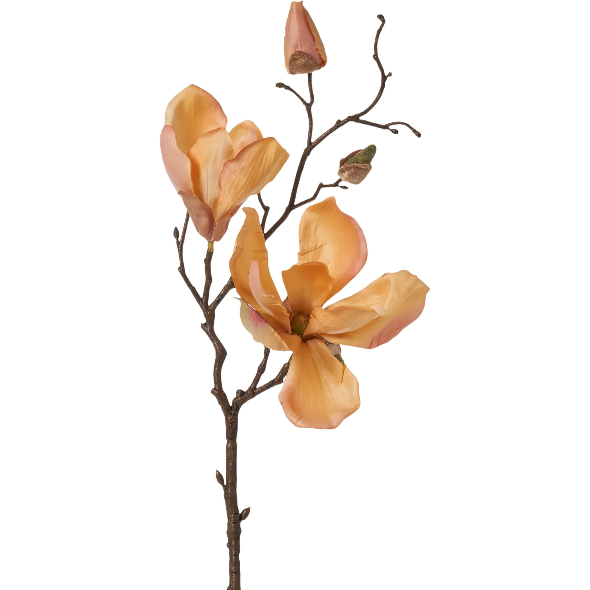 Golden Hour Magnolia Blossom & Bud Multiple Blooming Stem - Bouquets - 1