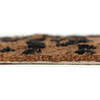 Non-Slip Back Hand-Tufted Rug, Little Cheetah - Rugs - 4