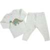 Dinosaur Terry Applique Two Piece Set, Heather Gray - Mixed Apparel Set - 2