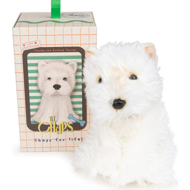 BT CHAPS TIMOTHY THE SCOTTISH TERRIER in Giftbox  6.5"