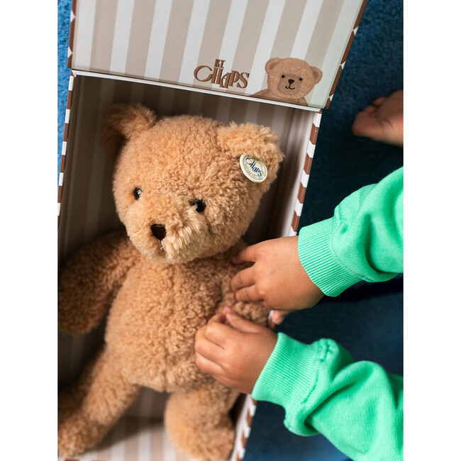 BT CHAPS GUS THE HOMIE BEAR in Giftbox 10" - Plush - 3