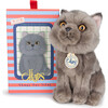 BT CHAPS FREDDY THE BRITISH SHORTHAIR FLOPPY in Giftbox 6.5" - Plush - 1 - thumbnail