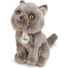 BT CHAPS FREDDY THE BRITISH SHORTHAIR FLOPPY in Giftbox 6.5" - Plush - 2