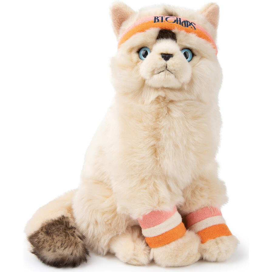 BT CHAPS DOLLY THE RAGDOLL 12.5" - Plush - 1