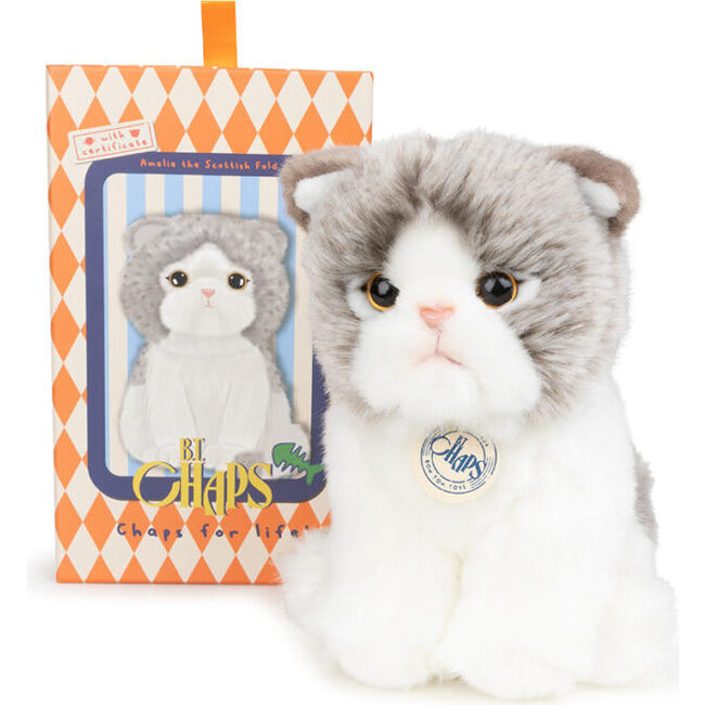 BT CHAPS AMELIE THE SCOTTISH FOLD in Giftbox 6.5"