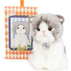 BT CHAPS AMELIE THE SCOTTISH FOLD in Giftbox 6.5" - Plush - 1 - thumbnail