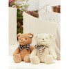 BT CHAPS BERYL THE SNAZZIE BEAR 12.5" - Plush - 2