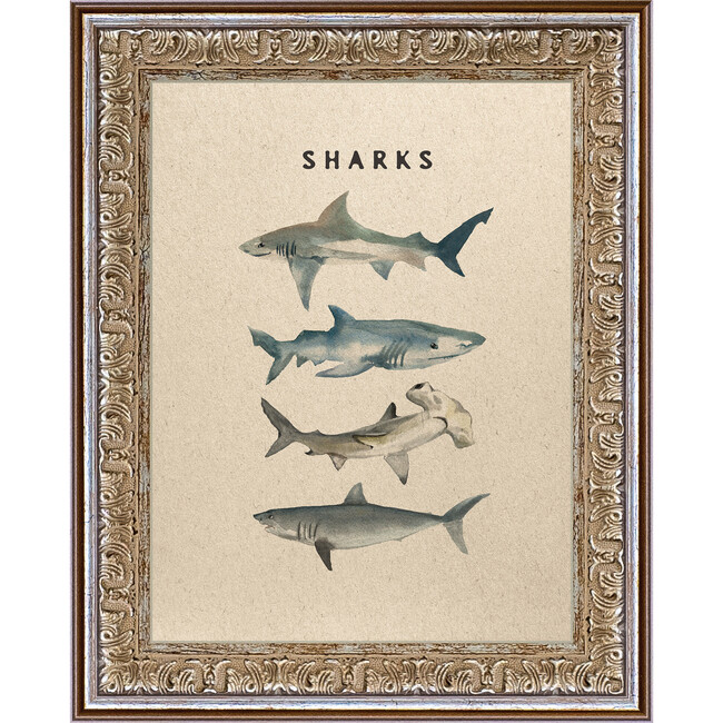 Sharks Canvas Print In 8X10 Frame