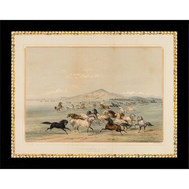 Field Of Horses Canvas Print In 9X7 Frame