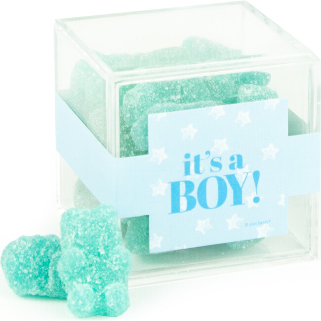 It's a Boy JUST CANDY® Favor Cube with Gummy Bears, Set of 12