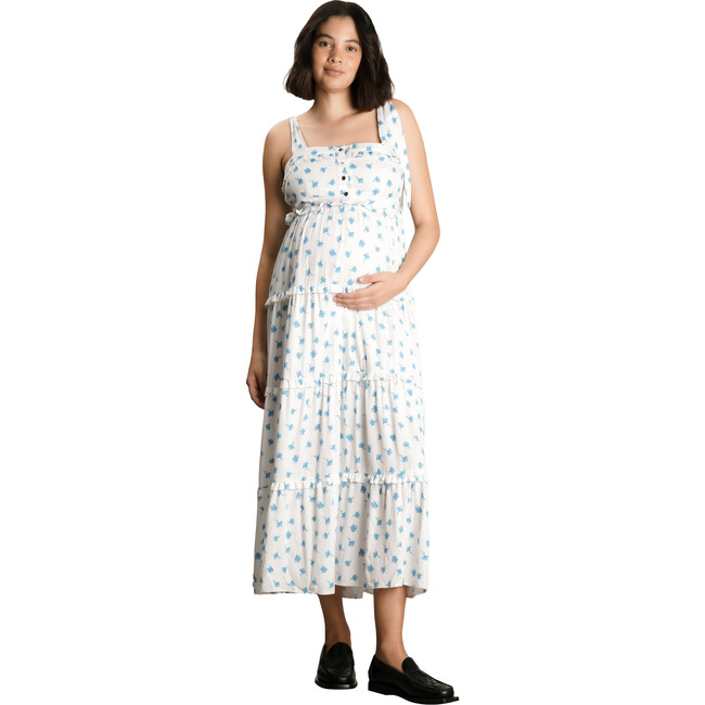 Women's Mara Maternity & Nursing Dress, Blue Floral