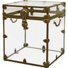 Rhino Cube Acrylic Trunk, Antique Brass Trim - Storage - 1 - thumbnail