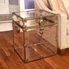 Rhino Cube Acrylic Trunk, Antique Brass Trim - Storage - 2