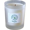 Scented Candle - Candles - 1 - thumbnail