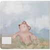 Bear Board Book, Multicolors - Books - 2