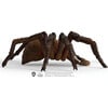 Schleich Wizarding World of Harry Potter: Aragog Collectible Figurine - Playsets - 2