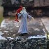 Schleich Wizarding World of Harry Potter: Albus Dumbledore & Fawkes Figurines - Playsets - 2