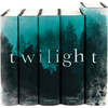 The Twilight Saga Book Set - Books - 1 - thumbnail