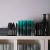 The Twilight Saga Book Set - Books - 5