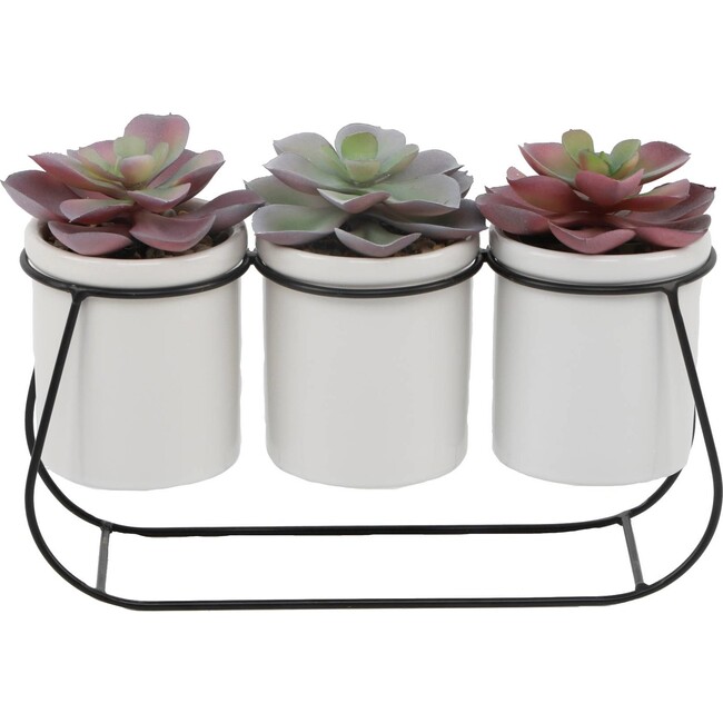 Set of 3 Succulents On Metal Stand