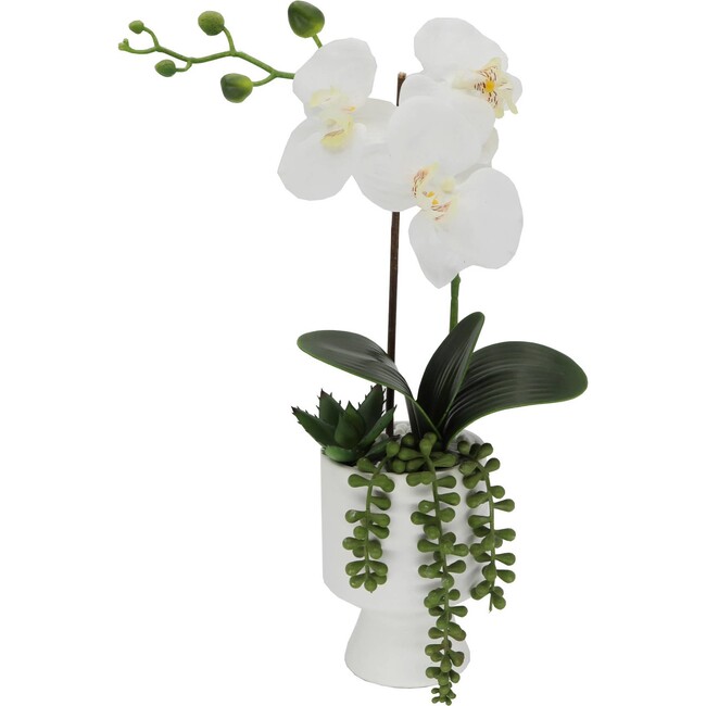 Real-Touch Faux Orchid In Ceramic Pot