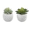 Pineapple Pot Faux Succulents, Set of 2 - Plants - 1 - thumbnail