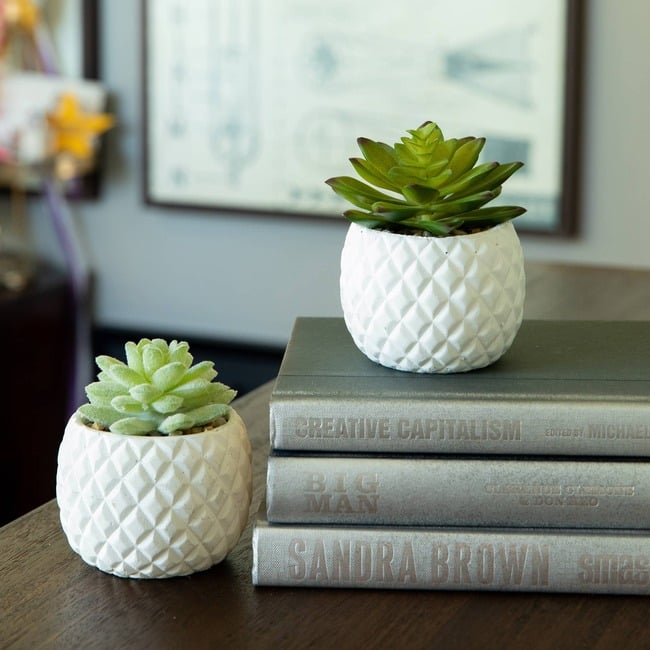 Pineapple Pot Faux Succulents, Set of 2 - Plants - 2