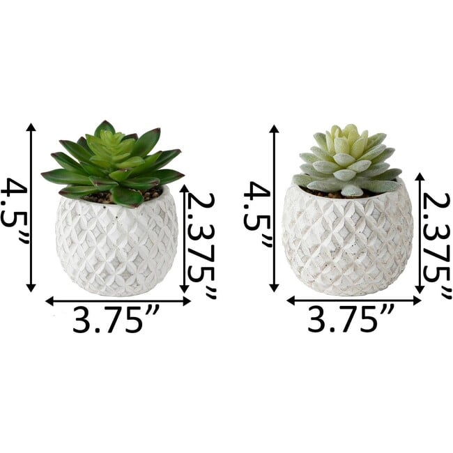 Pineapple Pot Faux Succulents, Set of 2 - Plants - 3