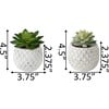 Pineapple Pot Faux Succulents, Set of 2 - Plants - 3