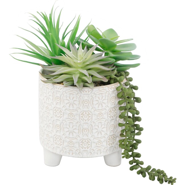 Green Faux Succulent Mix in Footed Ivory Catheral
