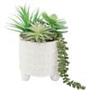 Green Faux Succulent Mix in Footed Ivory Catheral - Plants - 1 - thumbnail