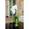 Real-Touch Faux Orchid In Ceramic Pot - Plants - 2