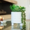 Green Faux Succulent Mix in Footed Ivory Catheral - Plants - 2