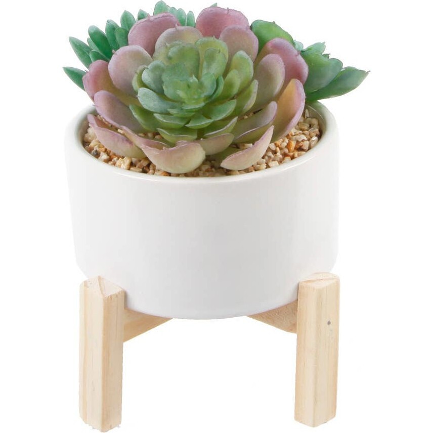 Faux Succulent in White Pot - Plants - 1