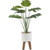 Faux Split-Leaf In Raindrop Stand - Plants - 1 - thumbnail