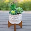 Faux Succulents In Gold Handpiant Ceramic Stand - Plants - 2