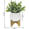 Faux Tea Leaf In Ridge Pot On Stand - Plants - 3