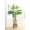 Faux Split-Leaf In Raindrop Stand - Plants - 2
