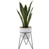 Faux Snake Plant In Marble Metal Stand - Plants - 1 - thumbnail