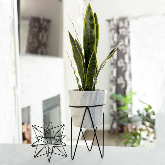 Faux Snake Plant In Marble Metal Stand - Plants - 2