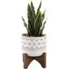 Faux Snake Plant In Cream Ceramic Pot - Plants - 1 - thumbnail