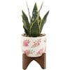 Faux Snake In Floral Ceramic Pot - Plants - 1 - thumbnail