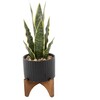 Faux Snake Plant In Black Ceramic Planter - Plants - 1 - thumbnail