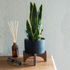 Faux Snake Plant In Black Ceramic Planter - Plants - 2