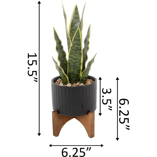 Faux Snake Plant In Black Ceramic Planter - Plants - 3