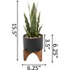 Faux Snake Plant In Black Ceramic Planter - Plants - 3